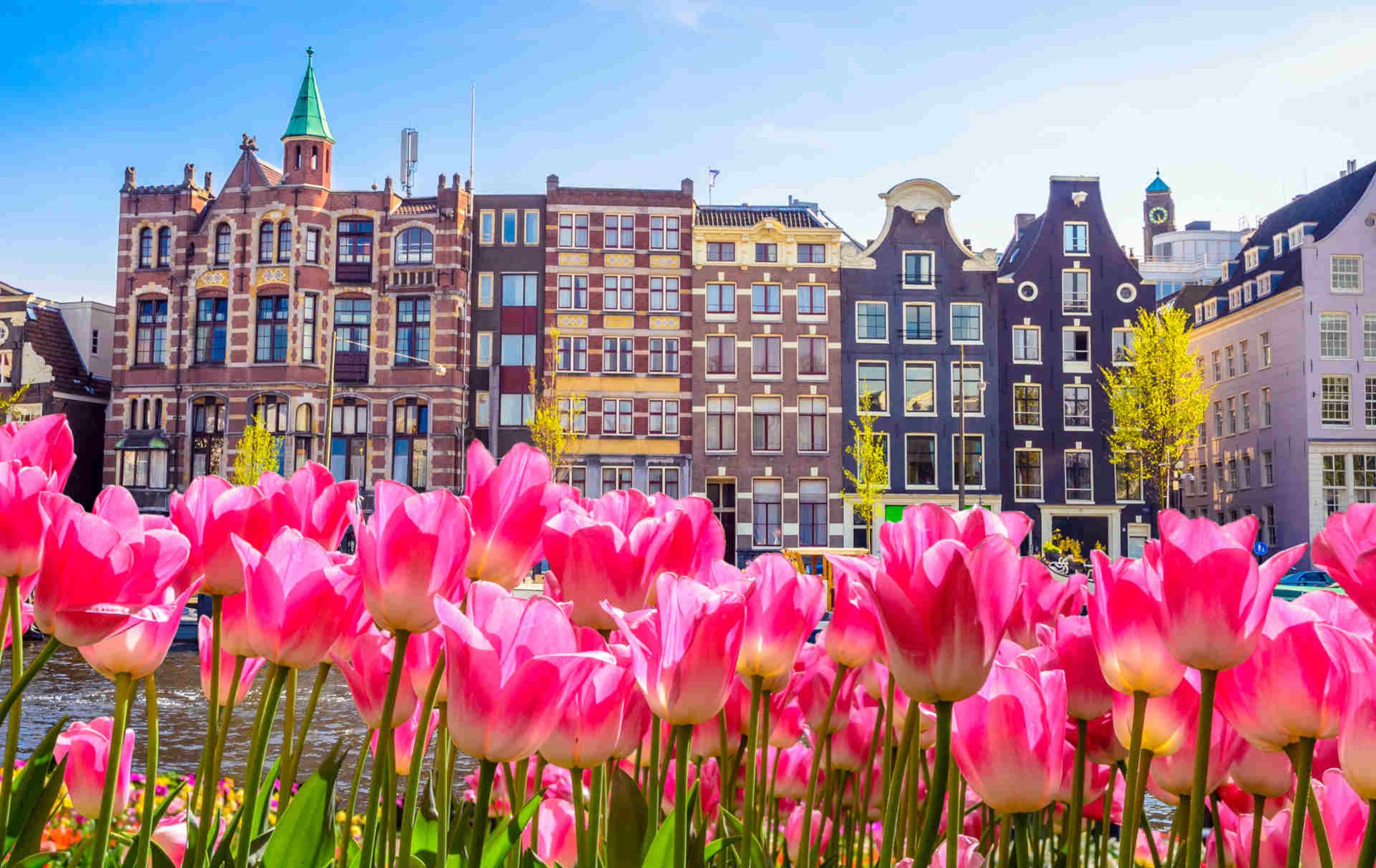 Dove andare in primavera: foto Amsterdam con tulipani