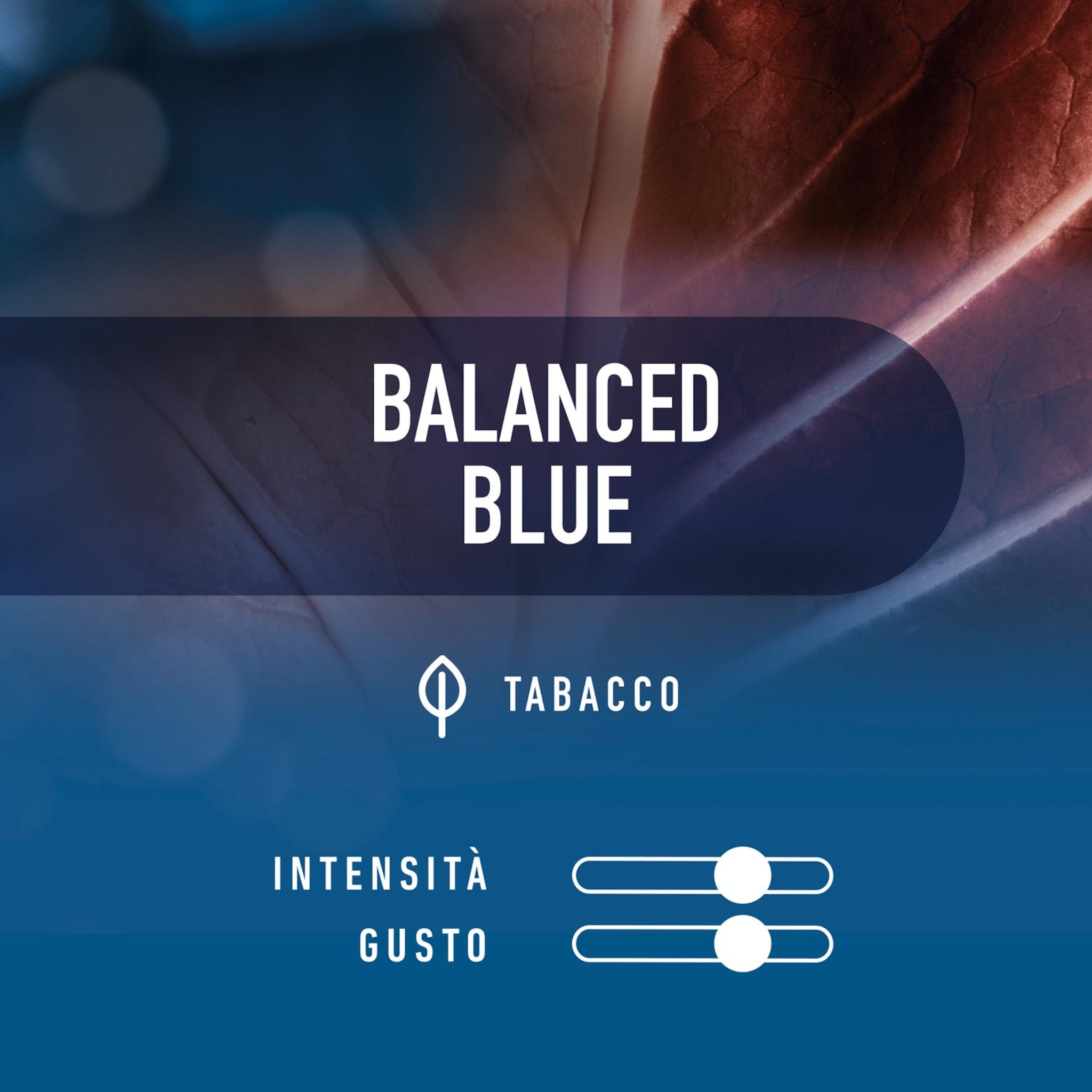 PULZE ID FLAVOUR BalancedBlue - Tabacco Scaldato