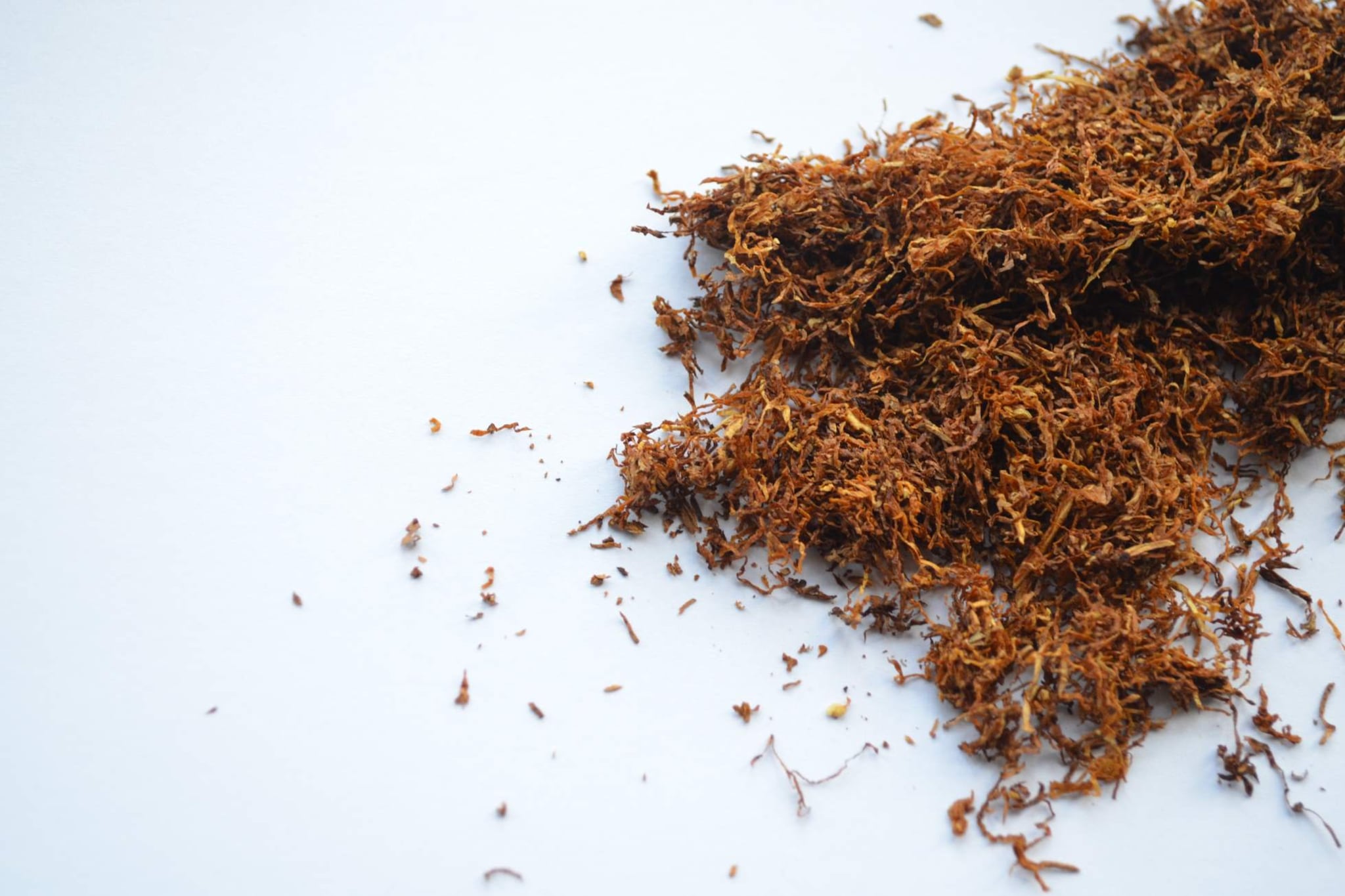 Druhy tabáku určeného k zahřívání a rozdíly mezi nimi